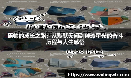 星空·综合体育官方网站