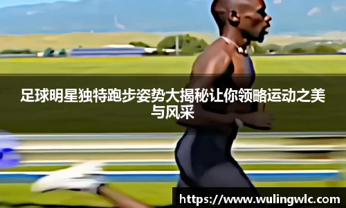 星空·综合体育官方网站