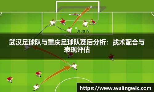 星空·综合体育中国官网