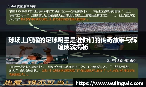 星空·综合体育官网