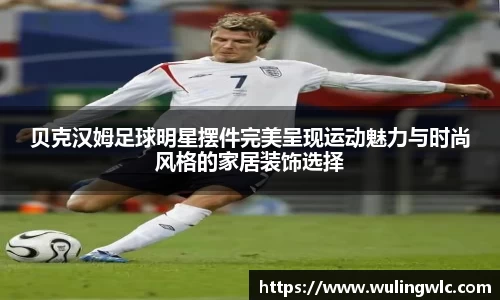 星空·综合体育官网